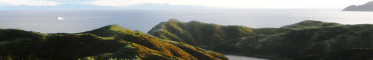 Bike trips Baring Head to Lakes Kohangapiripiri and Kohangatera